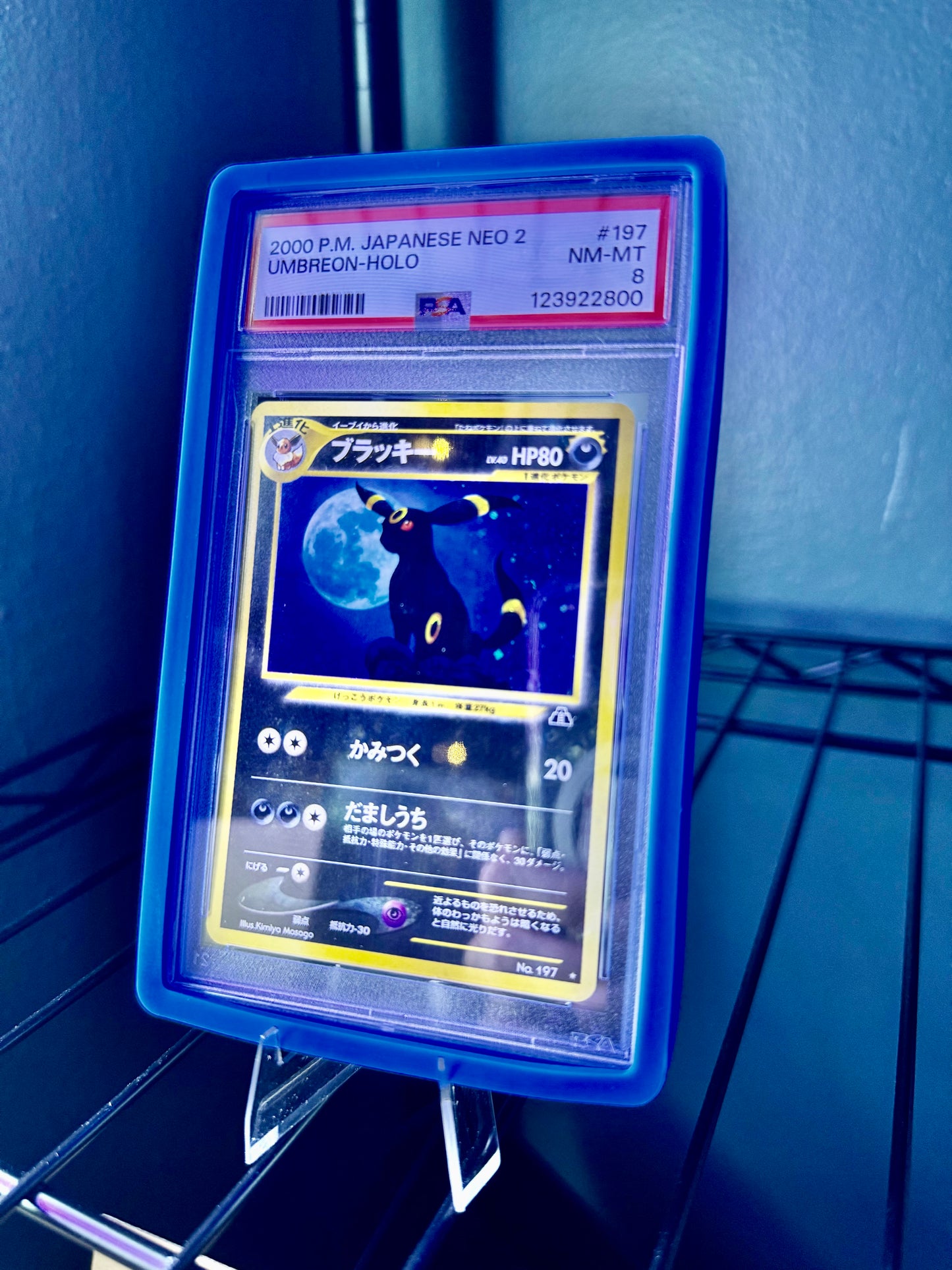 Mystic Moon's Slab Guard (fits PSA slabs only)